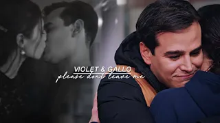 Violet & Gallo | Please Don't Leave Me
