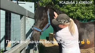 Села на коня . Положено начало заездки ☝️