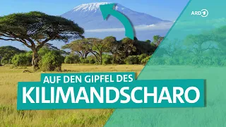 Tansania und der Kilimandscharo - Aufstieg zum Dach von Afrika | ARD Reisen