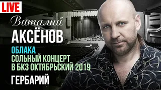 Виталий Аксёнов - Гербарий (Сольный концерт "Облака" 2019)