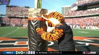 the pain of being the Bengals mascot