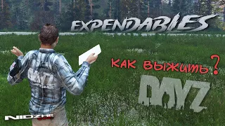 DayZ ▶Как тут выжить? Первый старт! сервер НЕУДЕРЖИМЫЕ. The Expendables Deer Isle PvE 3pp