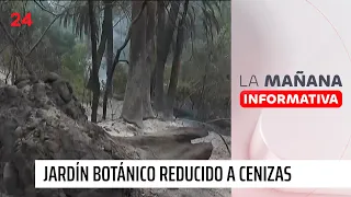 Jardín Botánico de Viña reducido a cenizas: "Se quemó en un 99%