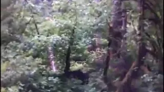 Bigfoot zoomed and slowed