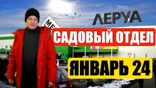 Январская вылазка в садово семенной отдел Леруа мерлен, что то прикупил