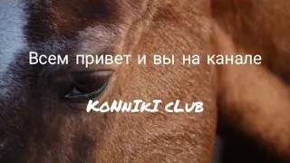 Фильмы про лошадей/советую посмотреть🐎🏇