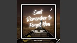 Cant Remember To Forget You (TikTok Edit)