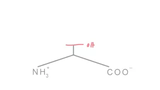 Memorize the 20 amino acids in 20 minutes (Part 1)