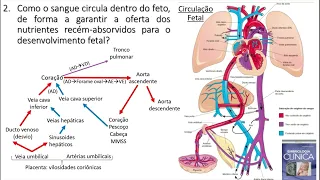 Circulação Fetal e Neonatal