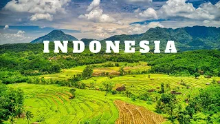 Asia's Tropical Paradise: Indonesia in 4K- Calming Music With Natural Scenic  For Deep Relaxation
