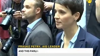 Alternative for Germany co-leader Frauke Petry quits party