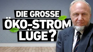 Hans-Werner Sinn zerstört Klimapolitik