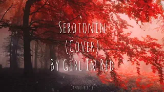 Serotonin (Cover) By Girl In Red
