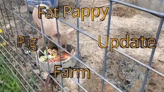 Pig update