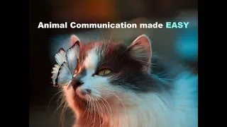 How to become an Animal Communicator