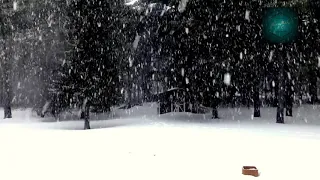 First snow with relaxing music!)Первый снег под расслабляющую музыку!)