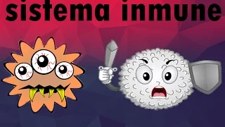 EL SISTEMA INMUNE EXPLICADO - ciencia animada