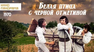 Белая птица с черной отметиной (1970 год) военная драма