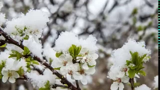 НАРОДНЫЕ ПРИМЕТЫ НА 14 МАРТА – ДЕНЬ ЕВДОКИИ АВДОТЬИ, СВИСТУНЬИ, ВЕСНОВКИ