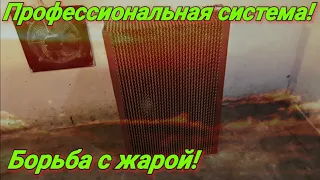 Профессиональная система охлаждения в птичнике!