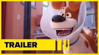 Watch The Secret Life of Pets 2 - The Rooster Trailer