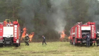 Масштабні навчання по гасінню лісових пожеж