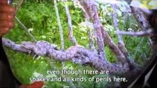 The harsh beauty of Croatia's Velebit national park