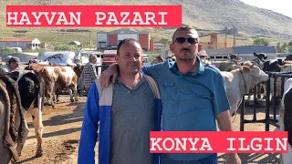 Konya-Kurban Öncesi Fiyatlar Nereye Gidiyor !