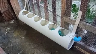 BEBEDOURO AUTOMÁTICO PARA GALINHAS DE CANO PVC AGORA TEM ÁGUA FRESCA SEMPRE