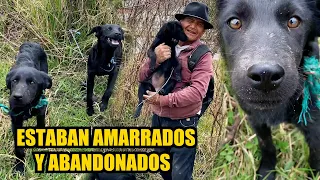 Rescatando a dos perritos que estaban aband0nad0s y amarrad0s