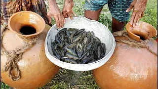 Unusual Fishing | Trapping Huge Country Fish Using Big Pottery Pot | Big Pot Fish Catching