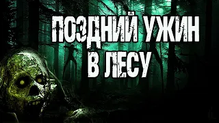 Страшные истории про лес. ПОЗДНИЙ УЖИН В ЛЕСУ. Мистические рассказы. Истории на ночь про лес. Ужасы