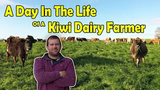 A Day In The Life Of A New Zealand Dairy Farmer - Winter