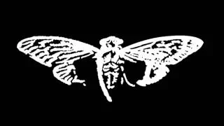 Cicada 3301 Explained - Part 1 (2012)
