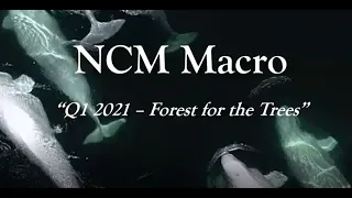 April 2021 Macro Presentation - 'Forest for the Trees'