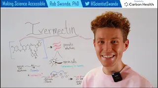 How Does Ivermectin Work?