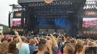 Chef Special - In Your Arms // Live at Pinkpop