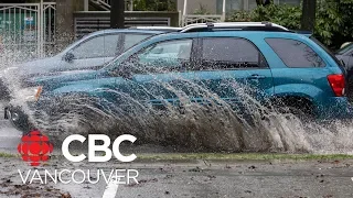 Heavy rains flood parts of Metro Vancouver