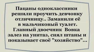 Вовочка заманил девчонку в школьный туалет...   Сборник смешных анекдотов!