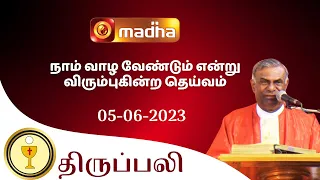 🔴 LIVE 05 JUNE 2023 Holy Mass in Tamil 06:00 PM (Evening Mass) | Madha TV