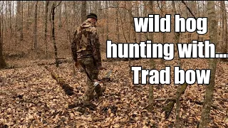 Hunting wild hogs with a traditional bow