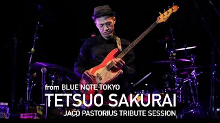 "櫻井哲夫 TETSUO SAKURAI JACO PASTORIUS TRIBUTE SESSION" BLUE NOTE TOKYO Interview & Live Streaming 2020
