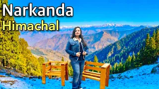 Narkanda - Most Beautiful Place Near Shimla Kufri Himachal | pooja ranaut | #narkanda