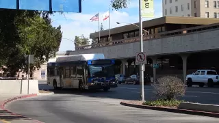 FAX Bus 0501 (New Flyer C40LF)