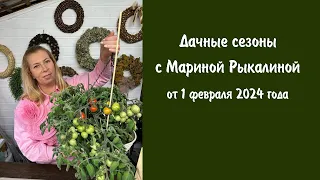 Дачные сезоны с Мариной Рыкалиной от 1 февраля 2024 года