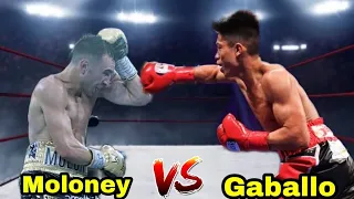 Jason Moloney Vs Reymart Gaballo | WBO Bantamweight World Title