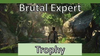 Brutal Expert | Uncharted Drake's Fortune Remastered Trophy