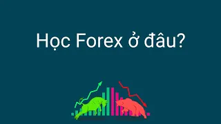 Đầu tư forex | Nên học giao dịch Forex ở đâu?
