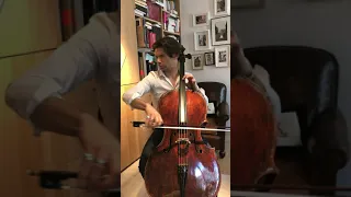 Suite pour violoncelle no 1 en sol majeur, BWV 1007 - Menuets I & II