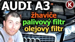 Výměna žhavičů a palivového i olejového filtru - Audi A3 2006 77kw BLS